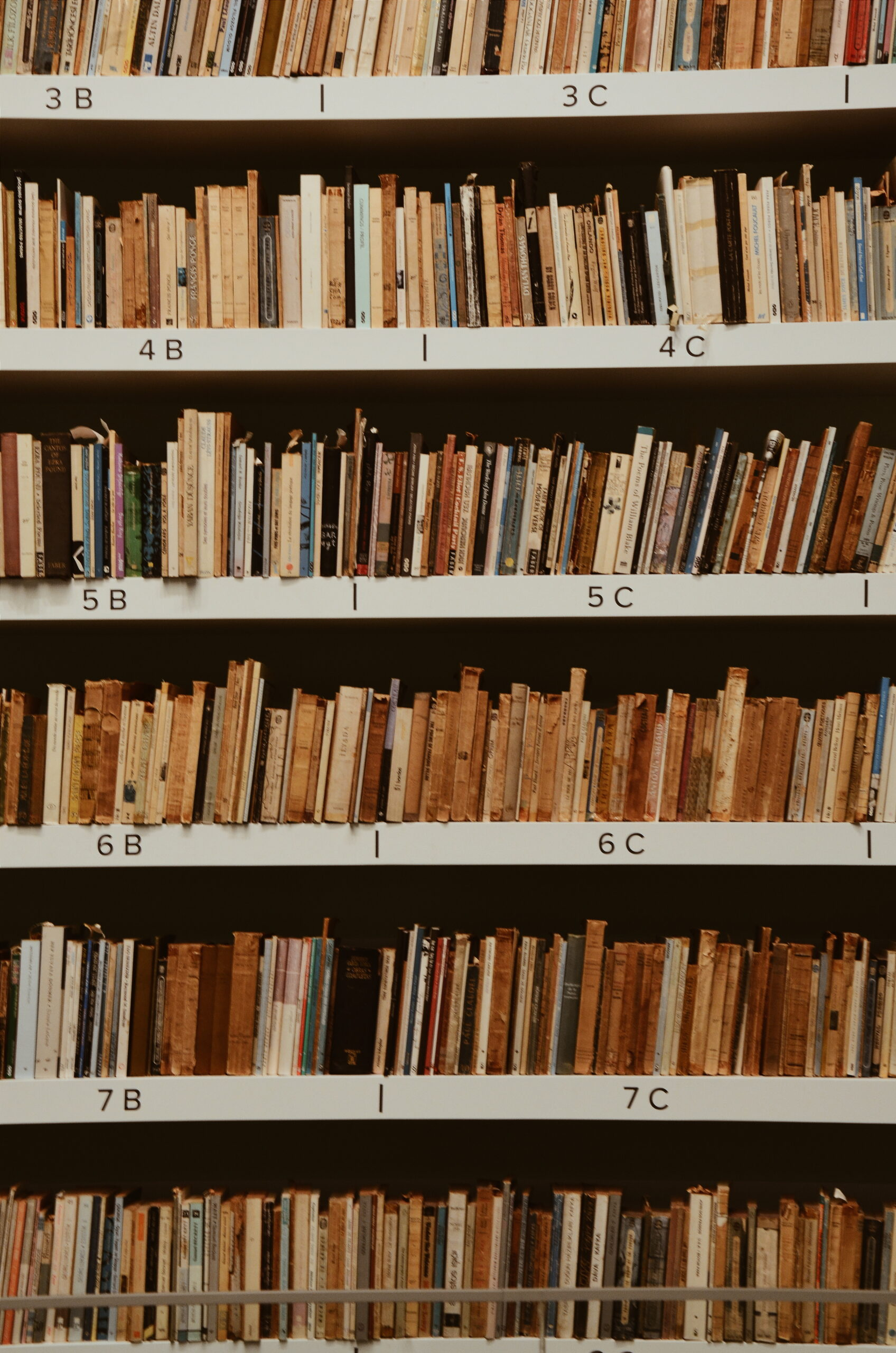 Libraries And Archives