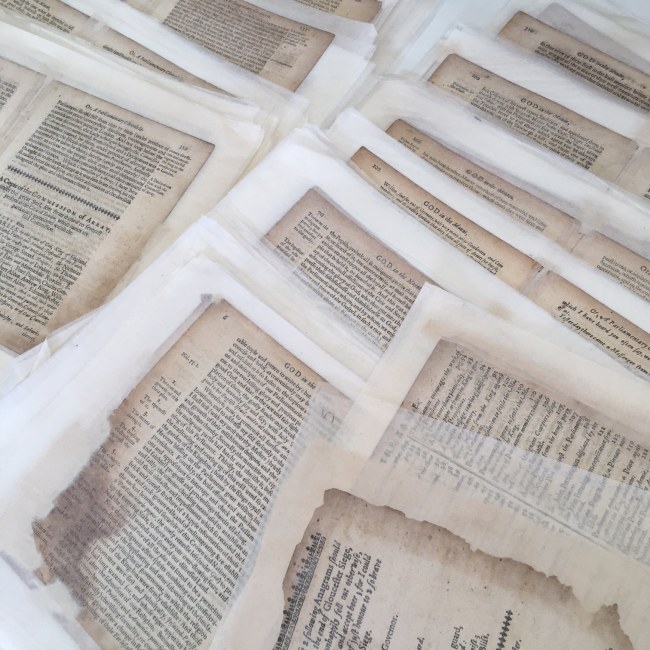 Paper Repair & Conservation Row 2 image