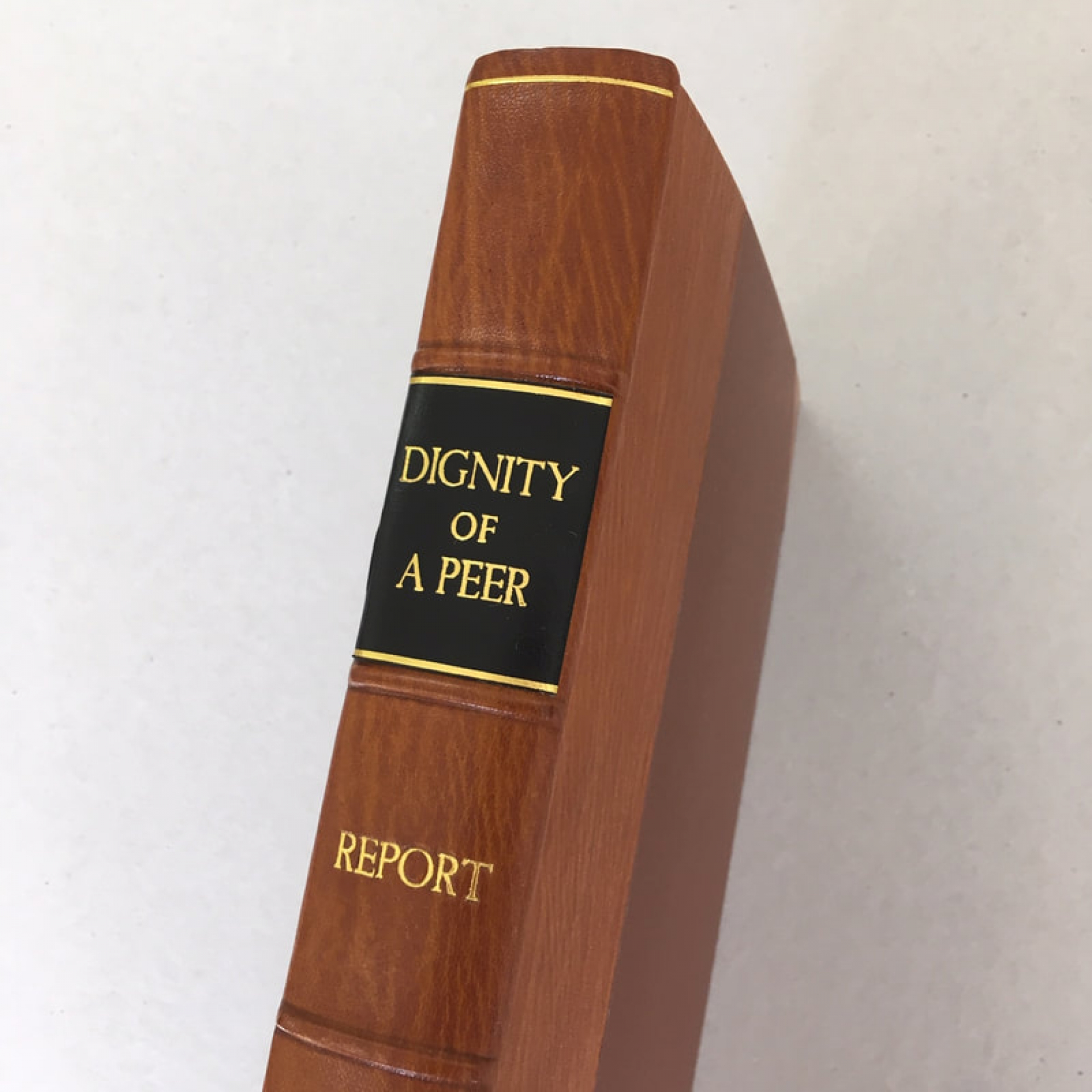 Report Rebinding