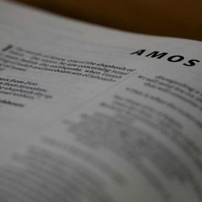 pexels photo 19812502