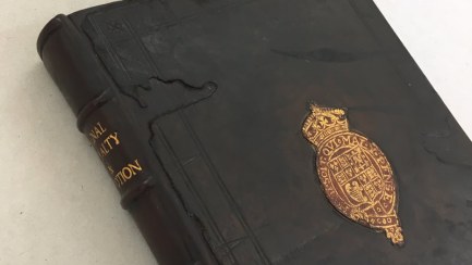 Leather Volume Reback