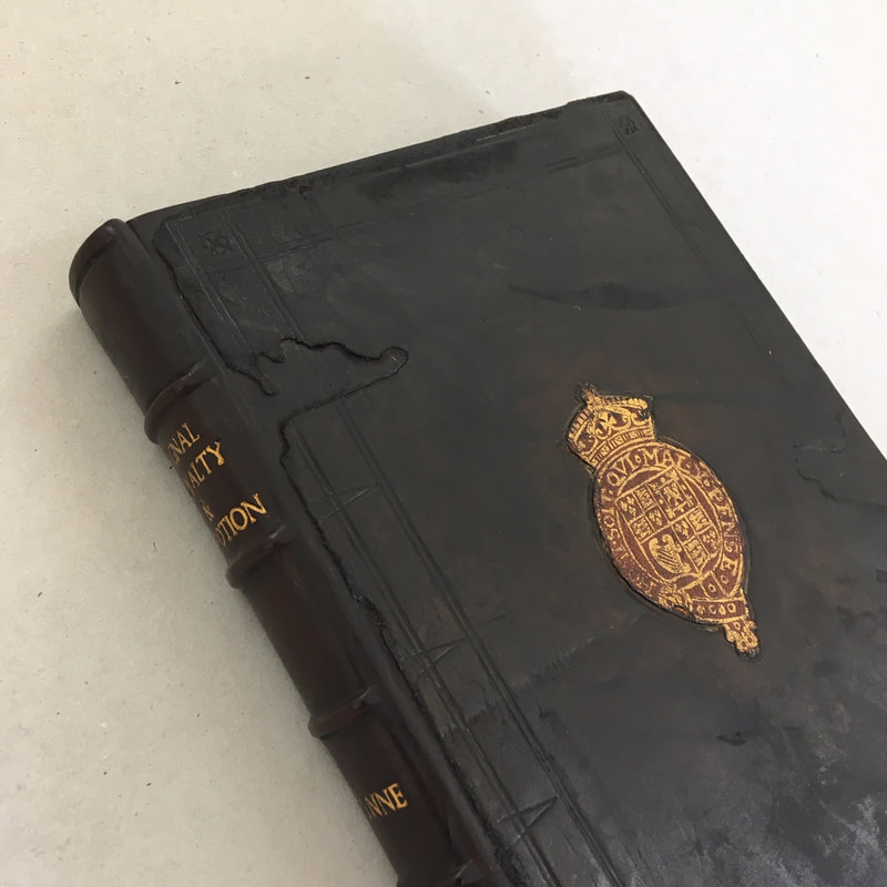 Leather Volume Reback